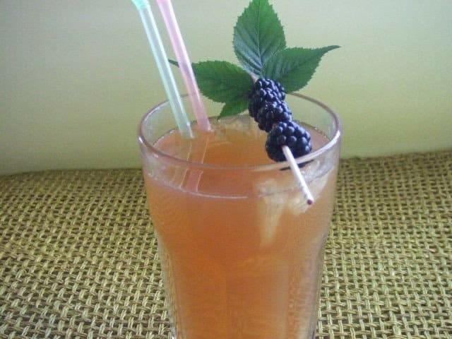 TE FRIO: 18 REFRESCANTES RECETAS