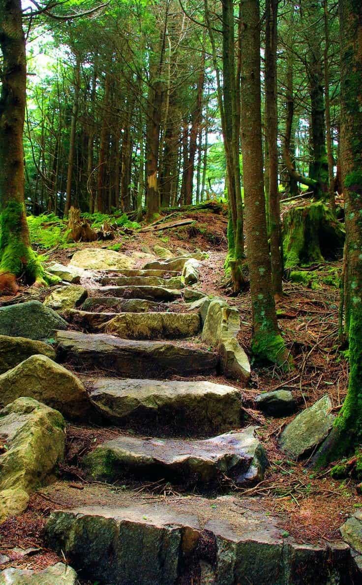 25 ESPECTACULARES RUTAS DE SENDERISMO : TODO HIKING | ¿Un paseo alrededor del mundo? Conoce estas 25 rutas de senderismo | hiking...