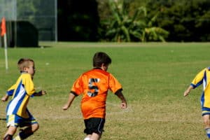 6 claves de la guaira