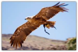 jornada deportiva zuliana