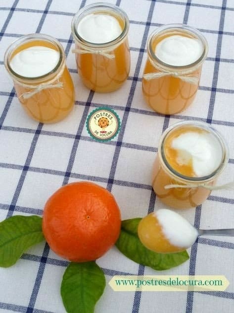 29 Snacks Saludables con Yogurt Griego: ¿Snacks saludables para disfrutar el juego sin culpas? Te presentamos 29 recetas a base de un cremoso yogurt griego y no lo pienses más.