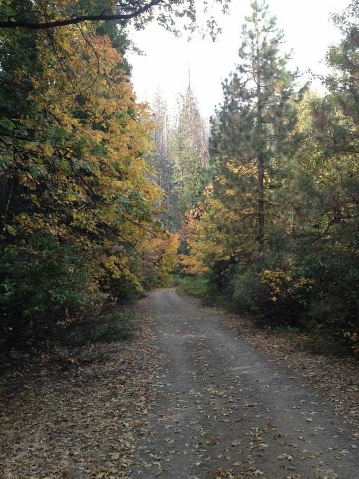 BIKING: 13 INCREÍBLES RUTAS EN BICICLETA | ¿Un poco de biking, ciclismo o un paseo en bici? Disfruta de estas 13 rutas perfectas para ti...