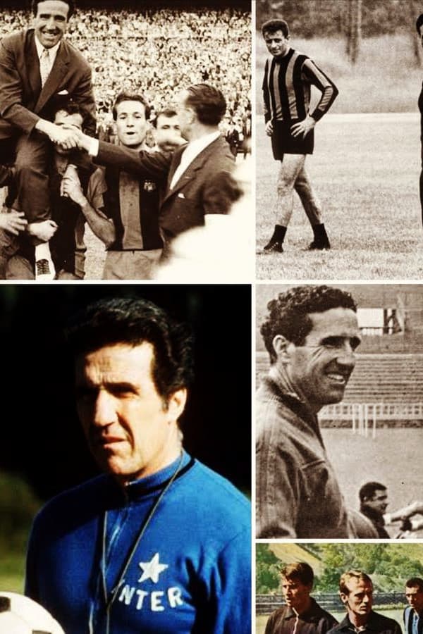 bayern munchen vs lyon