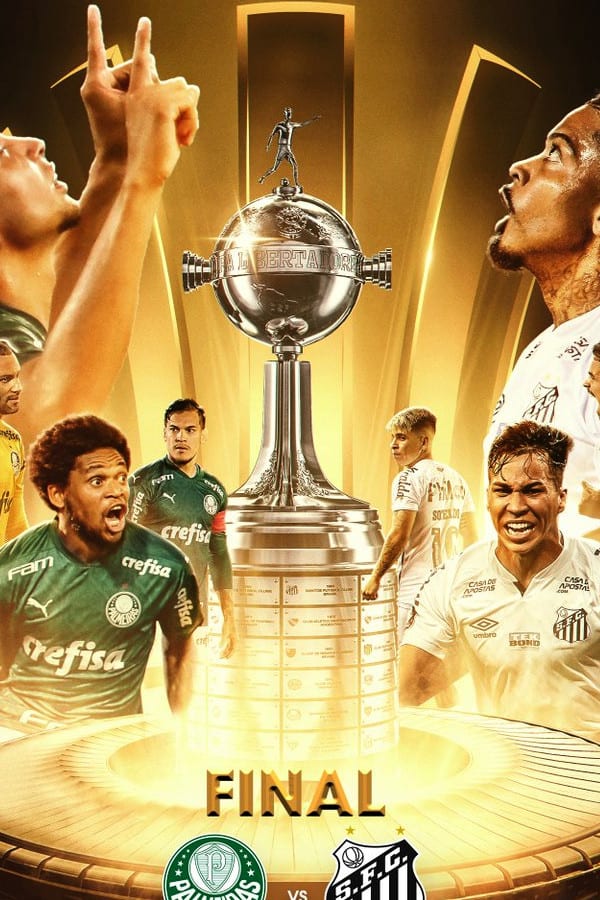 palmeiras vs santos 